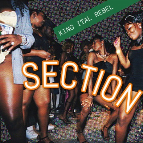 section | Boomplay Music