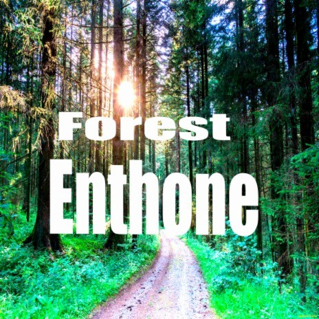 Forest Enthone | Boomplay Music