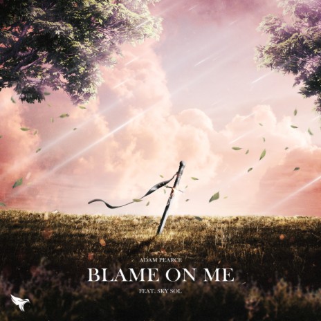 Blame On Me ft. Sky Sol | Boomplay Music