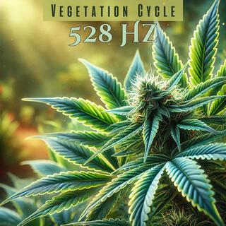 Cannabis Grow Vegetation Cycle: Grow Room Therapy Music