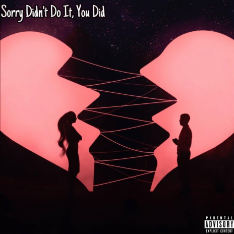 Sorry Didn't Do It, You Did | Boomplay Music