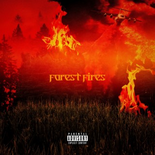 Forest Fires