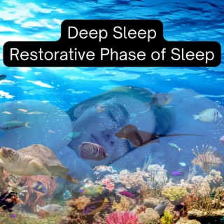 Deep Sleep: Restorative Phase of Sleep