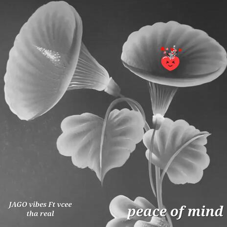 Peace of Mind | Boomplay Music