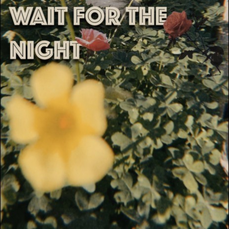 wait for the night | Boomplay Music