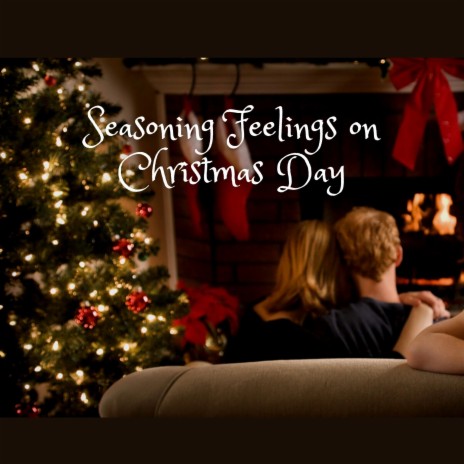 Seasoning Feelings on Christmas Day | Boomplay Music