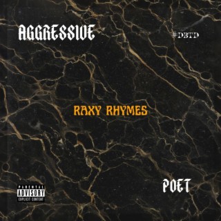 Aggressive Poet Freestyle. lyrics | Boomplay Music