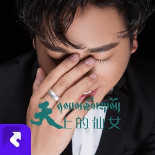 天上的仙女 lyrics | Boomplay Music