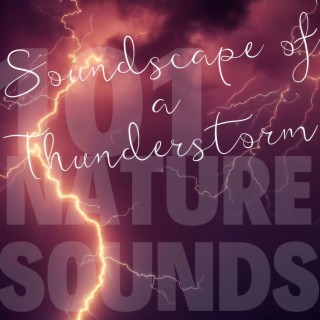 Soundscape of a Thunderstorm