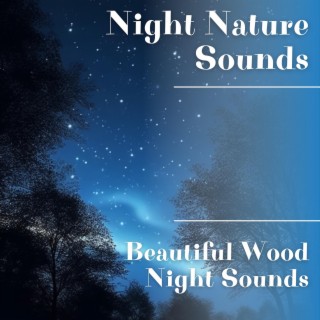 Beautiful Wood Night Sounds