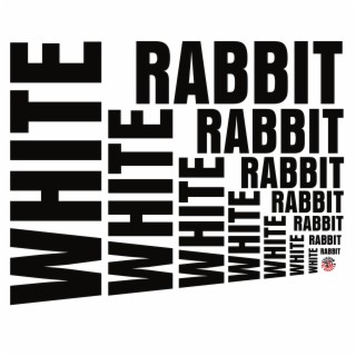 White Rabbit