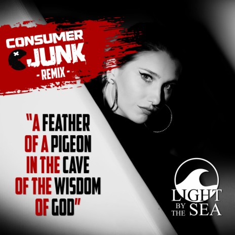 A Feather Of A Pigeon In The Cave Of The Wisdom Of God (Remix) ft. Consumer Junk ™ | Boomplay Music