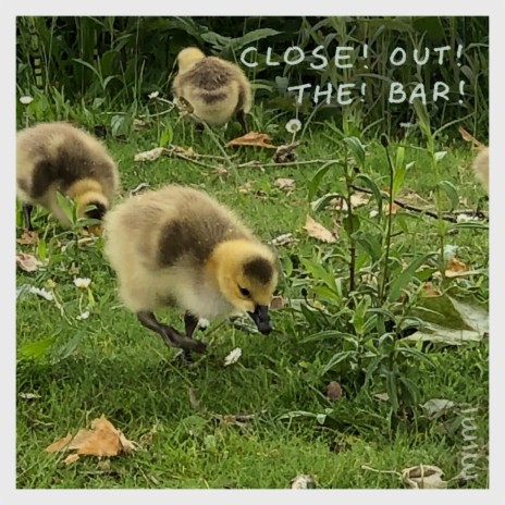 close out the bar | Boomplay Music