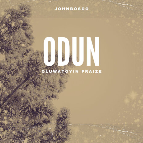 Odun ft. Oluwatoyin Praize | Boomplay Music