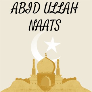 PASHTO NEW NAATS ABID ULLAH VOL 4