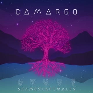 SEAMOS + ANIMALES (Estudio)