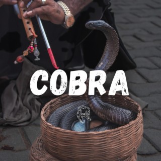 Cobra ft. Lou152 lyrics | Boomplay Music