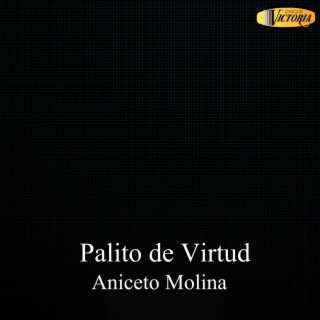 Palito de Virtud