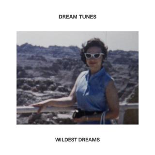 Wildest Dreams