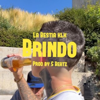 Brindo