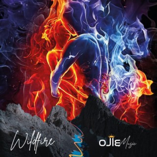 Wildfire