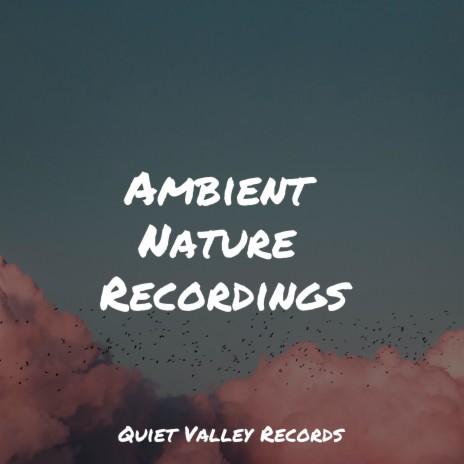 Ambient Noise ft. Studying Music & Restless Baby Music | Boomplay Music