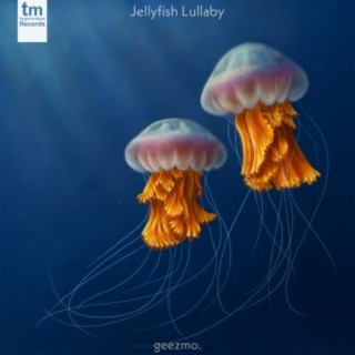 Jellyfish Lullaby