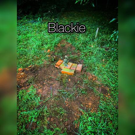 Blackie | Boomplay Music