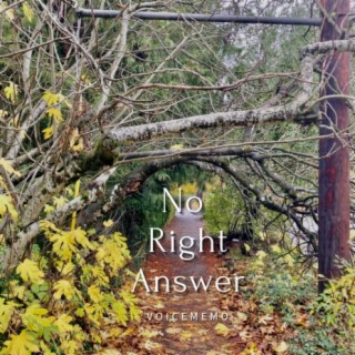 No Right Answer (voice memo)