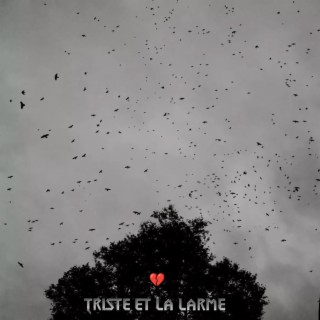 Triste et la larme