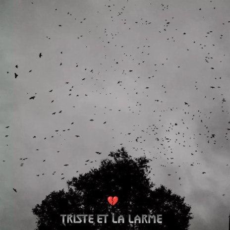 Triste et la larme | Boomplay Music