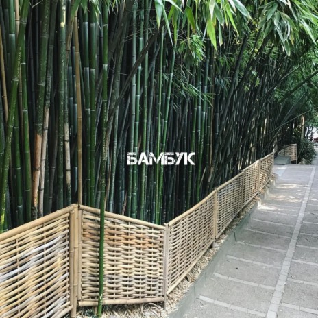 Бамбук (Prod. by Vanschuz) ft. Hood Well & Марк | Boomplay Music