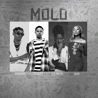 Molo