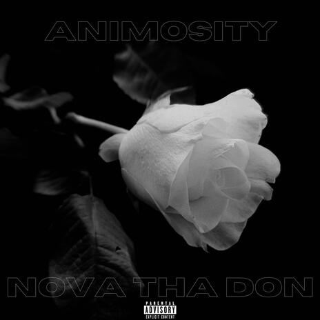 Animosity | Boomplay Music