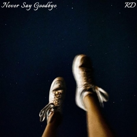 Never Say Goodbye | Boomplay Music