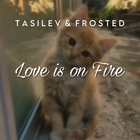 Love is on Fire ft. Frosted | Boomplay Music