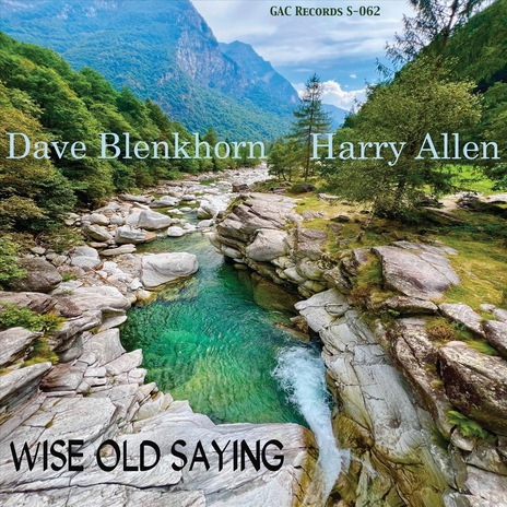 Wise Old Saying ft. Dave Blenkhorn | Boomplay Music