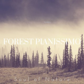 Forest Pianissimo