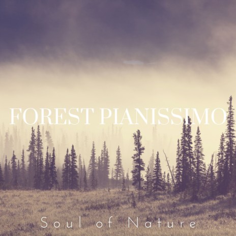 Woodland Piano Oasis ft. SON Recordings | Boomplay Music