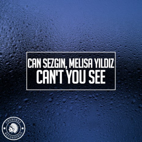 Can't You See ft. Melisa Yildiz