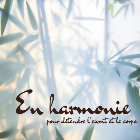 Musique d'ambiance | Boomplay Music