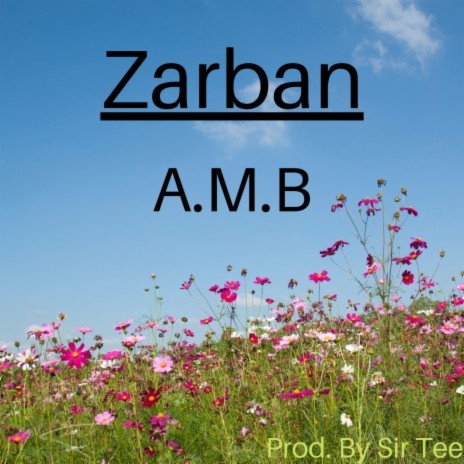 Zarban | Boomplay Music