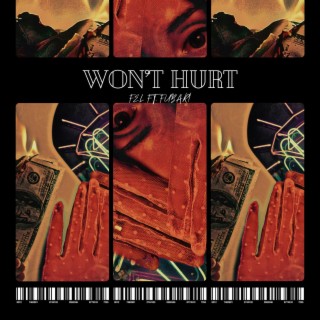 WON'T HURT ft. FUBAR! lyrics | Boomplay Music