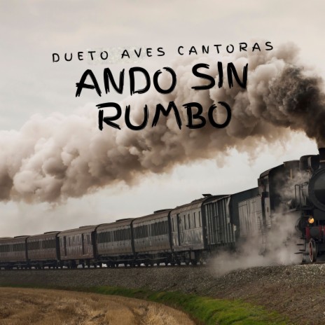 Ando sin Rumbo | Boomplay Music