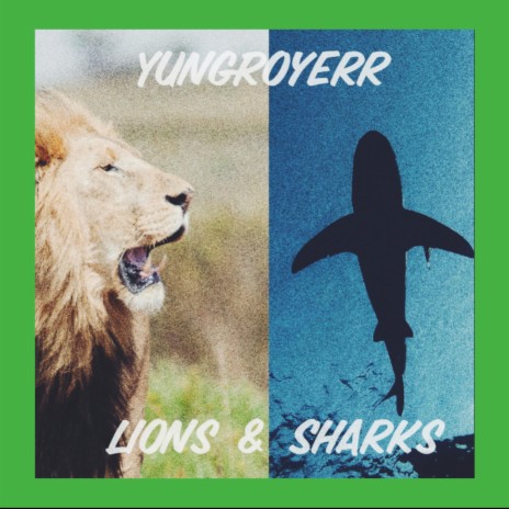 Lions & Sharks
