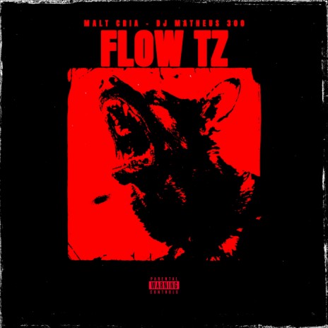 Flow Tz ft. Dj Matheus 300 | Boomplay Music