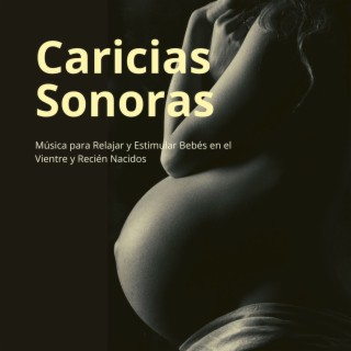 Caricias Sonoras: Música para Relajar y Estimular Bebés en el Vientre y Recién Nacidos