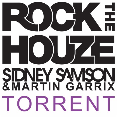 Torrent ft. Martin Garrix | Boomplay Music