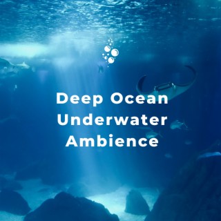 Deep Ocean Underwater Ambience