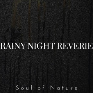 Rainy Night Reverie